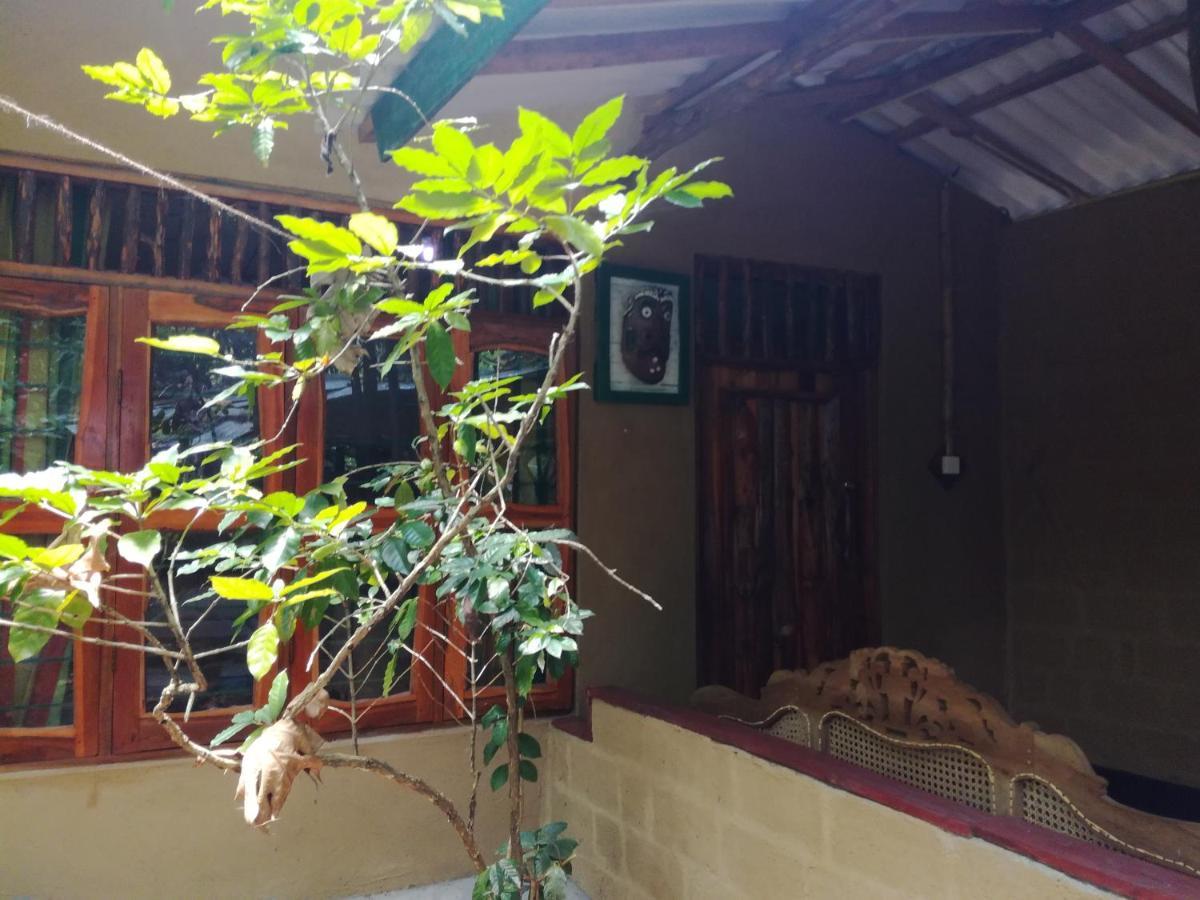 Sigiriya Freedom Lodge Dambulla Exterior photo