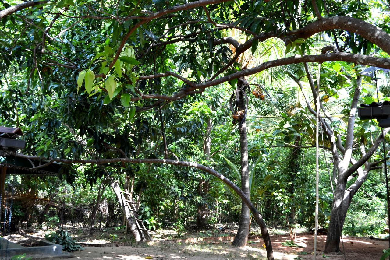 Sigiriya Freedom Lodge Dambulla Exterior photo